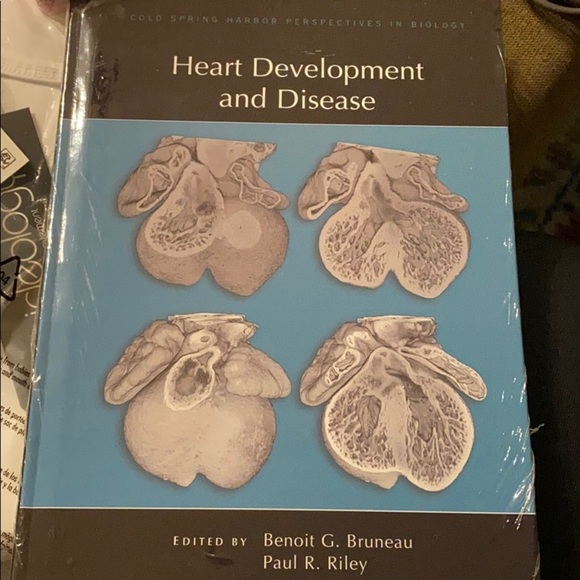 Heart Development and Disease‎ (Perspectives CSHL) - Picture 2 of 4
